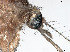  ( - VAITC4904)  @11 [ ] CreativeCommons - Attribution Non-Commercial (2014) Jana Batovska Department of Primary Industries
