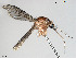  ( - VAITC4904)  @11 [ ] CreativeCommons - Attribution Non-Commercial (2014) Jana Batovska Department of Primary Industries