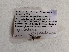  ( - BOLD-3MU4J2VD7)  @11 [ ] Copyright (2019) LifeScanner LifeScanner