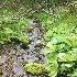  ( - BOLD-0DHXTEFA3)  @11 [ ] Copyright (2018) Unspecified LifeScanner
