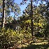  ( - BOLD-3LS51P2E1)  @11 [ ] Copyright (2018) LifeScanner Unspecified