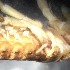  ( - BOLD-0DITYBUL4)  @11 [ ] Copyright (2017) LifeScanner Unspecified