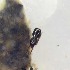  ( - BOLD-0DHYW9I33)  @11 [ ] Copyright (2018) LifeScanner LifeScanner