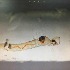 ( - BOLD-0DK7U98I5)  @11 [ ] Copyright (2018) LifeScanner LifeScanner