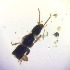  ( - BOLD-0DKE9YFC1)  @11 [ ] Copyright (2018) LifeScanner LifeScanner