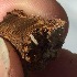 ( - BOLD-0DKNQXCL2)  @11 [ ] Copyright (2018) Unspecified LifeScanner