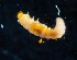  ( - BOLD-3MSPQZYK4)  @11 [ ] Copyright (2018) LifeScanner LifeScanner