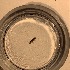  ( - BOLD-3OK012DI2)  @11 [ ] Copyright (2019) LifeScanner LifeScanner