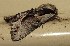  ( - BOLD-3O1ZSLXD6)  @11 [ ] Copyright (2019) LifeScanner Unspecified