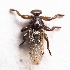  ( - BOLD-0DFTWE7J6)  @11 [ ] Copyright (2017) LifeScanner User Unspecified