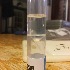  ( - BOLD-WB0EXHSG9)  @12 [ ] CreativeCommons - Attribution (2016) LifeScanner User Centre for Biodiversity Genomics