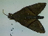  ( - Lope13-0014)  @12 [ ] CreativeCommons - Attribution Non-Commercial Share-Alike (2014) ECODIV Univ Rouen