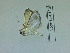  ( - Lope13-0193)  @12 [ ] CreativeCommons - Attribution Non-Commercial Share-Alike (2014) ECODIV Univ Rouen