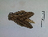  ( - Lope13-0199)  @12 [ ] CreativeCommons - Attribution Non-Commercial Share-Alike (2014) ECODIV Univ Rouen