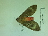  ( - Lope13-0222)  @11 [ ] CreativeCommons - Attribution Non-Commercial Share-Alike (2014) ECODIV Univ Rouen