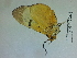  ( - Lope13-0223)  @11 [ ] CreativeCommons - Attribution Non-Commercial Share-Alike (2014) ECODIV Univ Rouen