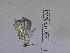  ( - Lope13-0265)  @12 [ ] CreativeCommons - Attribution Non-Commercial Share-Alike (2014) ECODIV Univ Rouen
