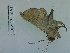  ( - Lope13-0461)  @13 [ ] CreativeCommons - Attribution Non-Commercial Share-Alike (2014) ECODIV Univ Rouen