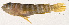  ( - MOH-152)  @11 [ ] CreativeCommons  Attribution Non-Commercial (by-nc) (2008) Unspecified Smithsonian Institution National Museum of Natural History