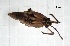  ( - HET_TOY_23.6)  @11 [ ] CreativeCommons Attribution NonCommercial ShareAlike (2021) (2021) University of Lodz Unspecified
