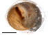 ( - BIOUG09921-F02)  @14 [ ] CreativeCommons - Attribution (2014) CBG Photography Group Centre for Biodiversity Genomics