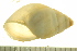  ( - BIOUG02468-B09)  @13 [ ] CreativeCommons - Attribution (2012) CBG Photography Group Centre for Biodiversity Genomics