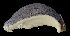  ( - MZB 2017-0969-3)  @11 [ ] CreativeCommons - Attribution Share-Alike (2019) Unspecified Museu de Ciencies Naturals de Barcelona - Zoology