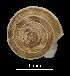  ( - MZB 2017-0975-3)  @11 [ ] CreativeCommons - Attribution Share-Alike (2019) Unspecified Museu de Ciencies Naturals de Barcelona - Zoology