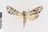  ( - KE-Lep-362)  @11 [ ] Copyright (2020) Unspecified Friedrich-Schiller-University Jena