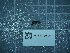  ( - 2024_350)  @11 [ ] CreativeCommons - Attribution Non-Commercial Share-Alike  Unspecified Unspecified