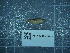  (Deroceras cf. levisarcobelum - 2024_274)  @11 [ ] CreativeCommons - Attribution Non-Commercial Share-Alike  Unspecified Unspecified