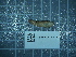  ( - 2025_481)  @11 [ ] CreativeCommons - Attribution Non-Commercial Share-Alike  Unspecified Unspecified