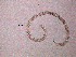  ( - 10C17A12)  @11 [ ] by_nc_nd (2012) Unspecified Ghent University