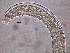  ( - 10C17A12)  @11 [ ] by_nc_nd (2012) Unspecified Ghent University