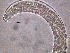  ( - 10C17A12)  @11 [ ] by_nc_nd (2012) Unspecified Ghent University