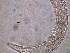  ( - 10C17A12)  @11 [ ] by_nc_nd (2012) Unspecified Ghent University