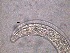  ( - 10C17A12)  @11 [ ] by_nc_nd (2012) Unspecified Ghent University