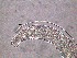  ( - 10C17A12)  @11 [ ] by_nc_nd (2012) Unspecified Ghent University