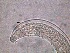  ( - 10C17A12)  @11 [ ] by_nc_nd (2012) Unspecified Ghent University