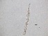  ( - 11H6K12)  @11 [ ] by_nc_nd (2012) Unspecified Ghent University
