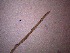  ( - 12C17A12)  @11 [ ] by_nc_nd (2012) Unspecified Ghent University