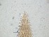  ( - 12H6K12)  @11 [ ] by_nc_nd (2012) Unspecified Ghent University