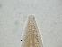  ( - 12H6K12)  @11 [ ] by_nc_nd (2012) Unspecified Ghent University