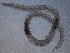  ( - 15C13B12)  @11 [ ] by_nc_nd (2012) Unspecified Ghent University