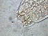  ( - 1C16A12)  @11 [ ] by-nc-nd (2020) Unspecified Ghent University