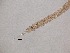  ( - 20H6K12)  @11 [ ] by_nc_nd (2012) Unspecified Ghent University