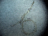  ( - 30A25C14)  @11 [ ] by_nc_nd (2014) Unspecified Ghent University