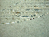  ( - 30A25C14)  @11 [ ] by_nc_nd (2014) Unspecified Ghent University