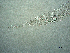  ( - 30A25C14)  @11 [ ] by_nc_nd (2014) Unspecified Ghent University