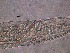  ( - 34C20A12)  @11 [ ] by_nc_nd (2012) Unspecified Ghent University